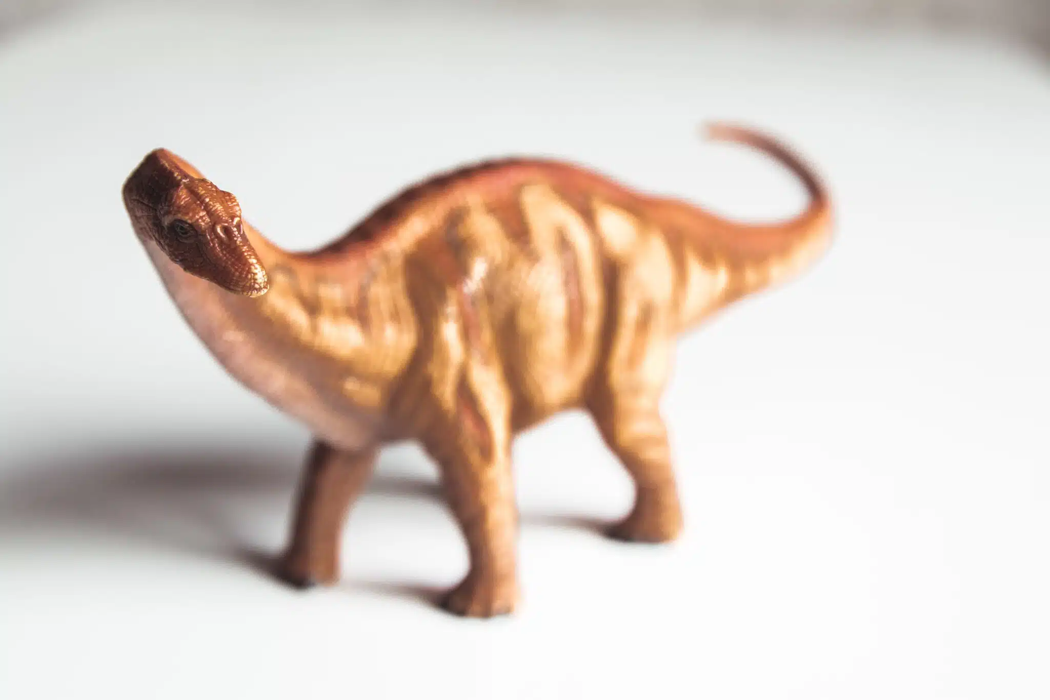 dinosauro