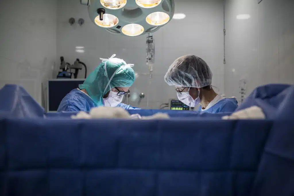 trapianti organi tra animali